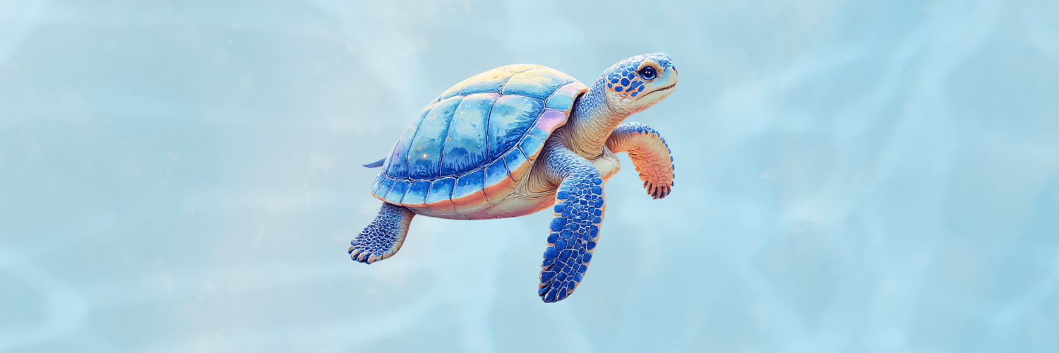 The Turtle Shell Method: Boundaries that Protect & Expand You